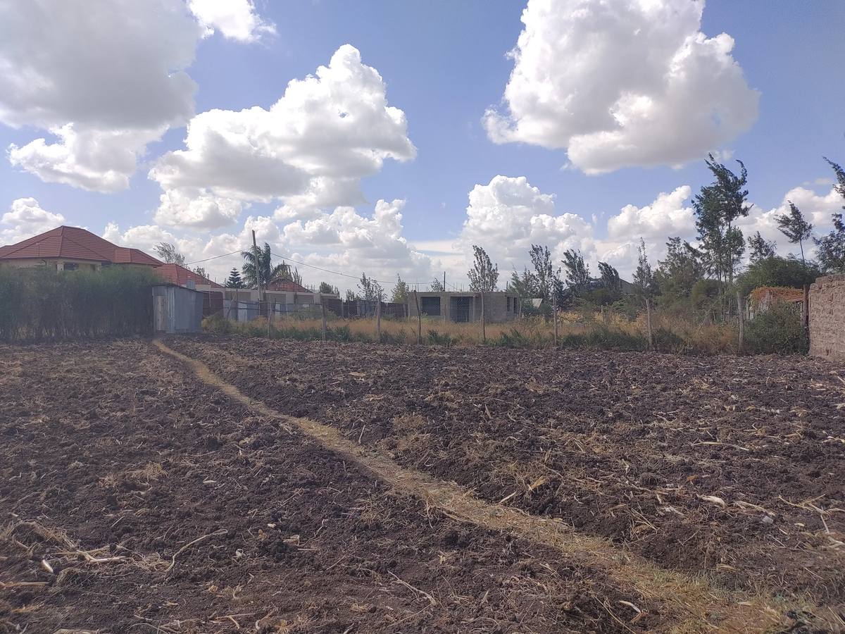 Level, cleared ground looking toward the estate
