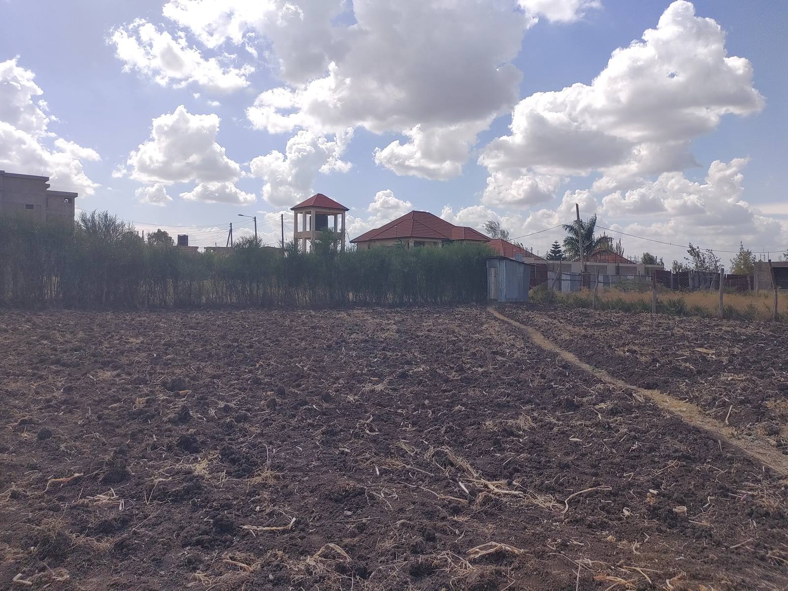 The ploughed plot, with a hedge boundary and the estate's tile-roofed homes and water tower beyond